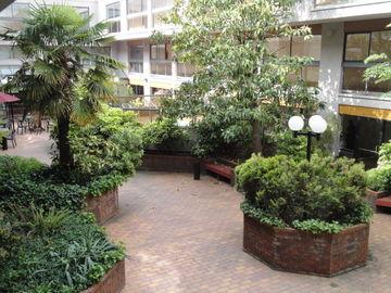 Executive Inn Express Vancouver Airport Richmond Bagian luar foto